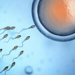 The scientist who discovered sperm