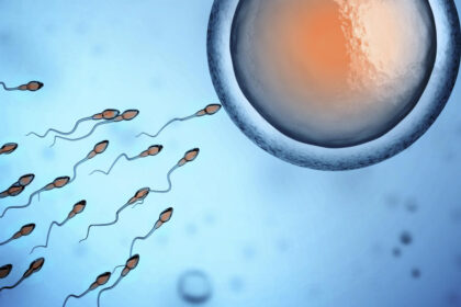 The scientist who discovered sperm