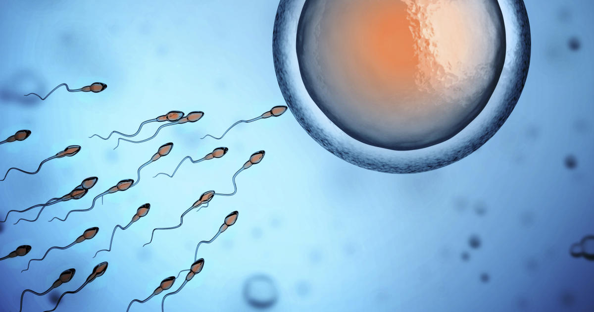 The scientist who discovered sperm