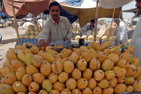 محکمہ پلانٹ پروٹیکشن