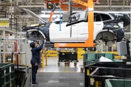 ایک چینی فرم