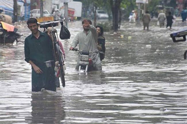 پی ڈی ایم اے