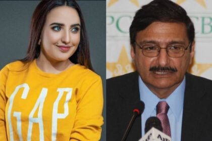 ٹک ٹاک اسٹار حریم شاہ